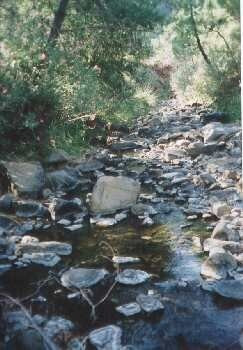 Finca - Cortijo te koop in Estepona | 5 slaapkamers H3162982