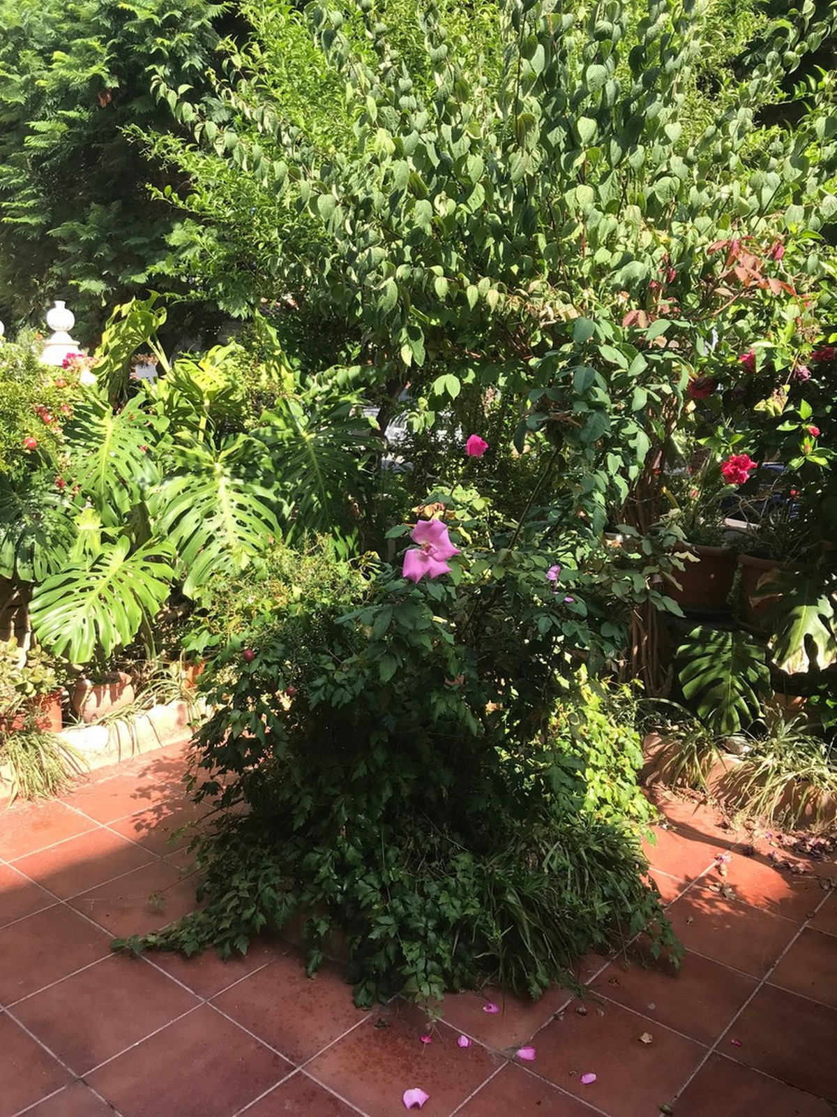 Property main view 28