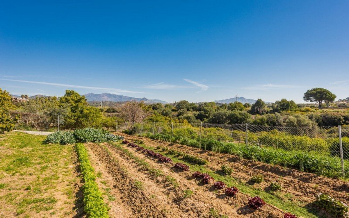 Property main view 13