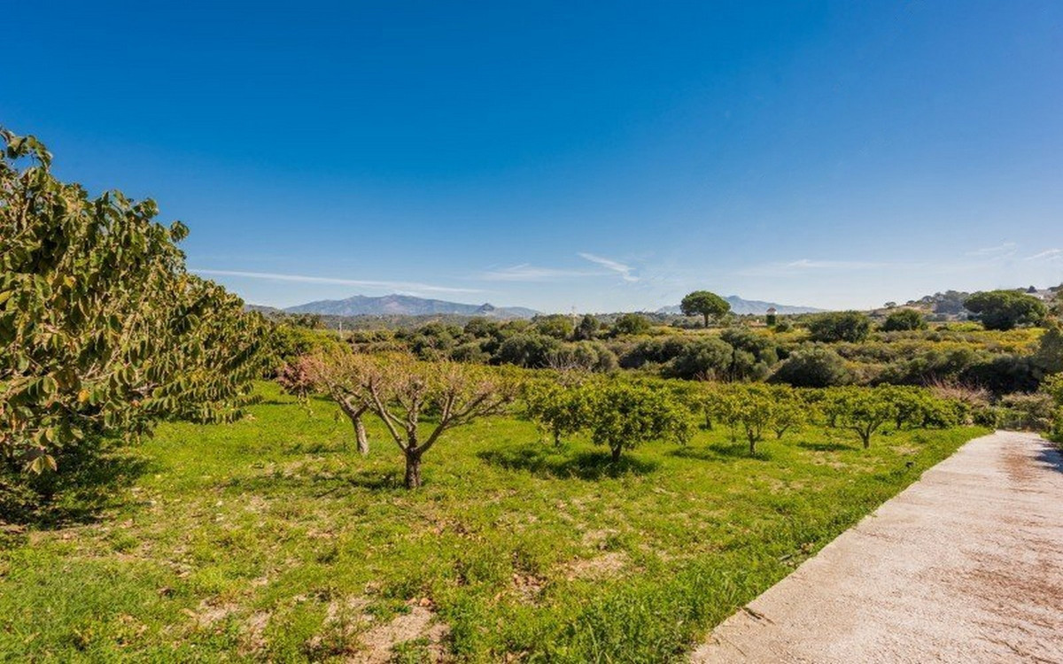 Property main view 14