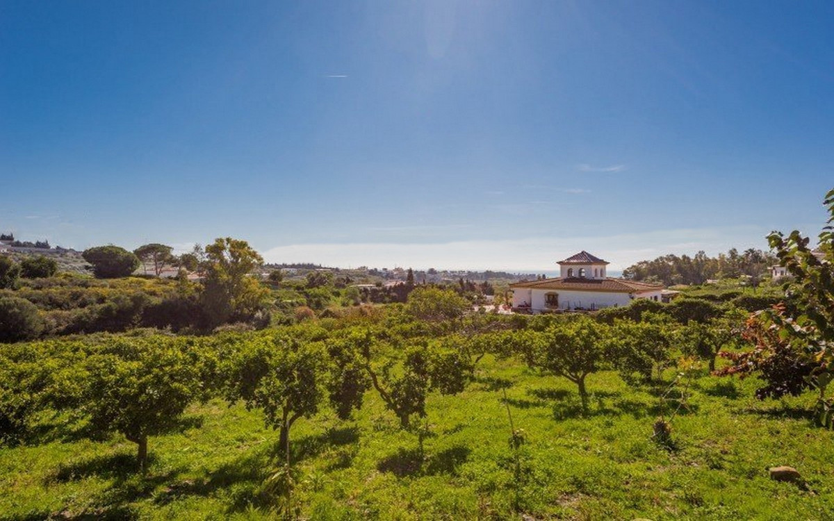 Property main view 8