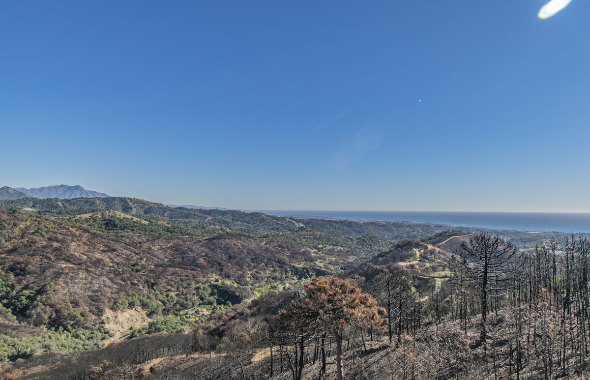 Property main view 3