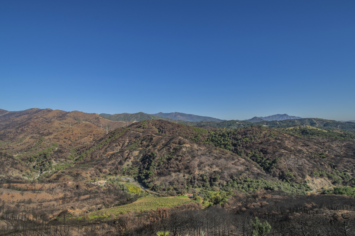 Property main view 33