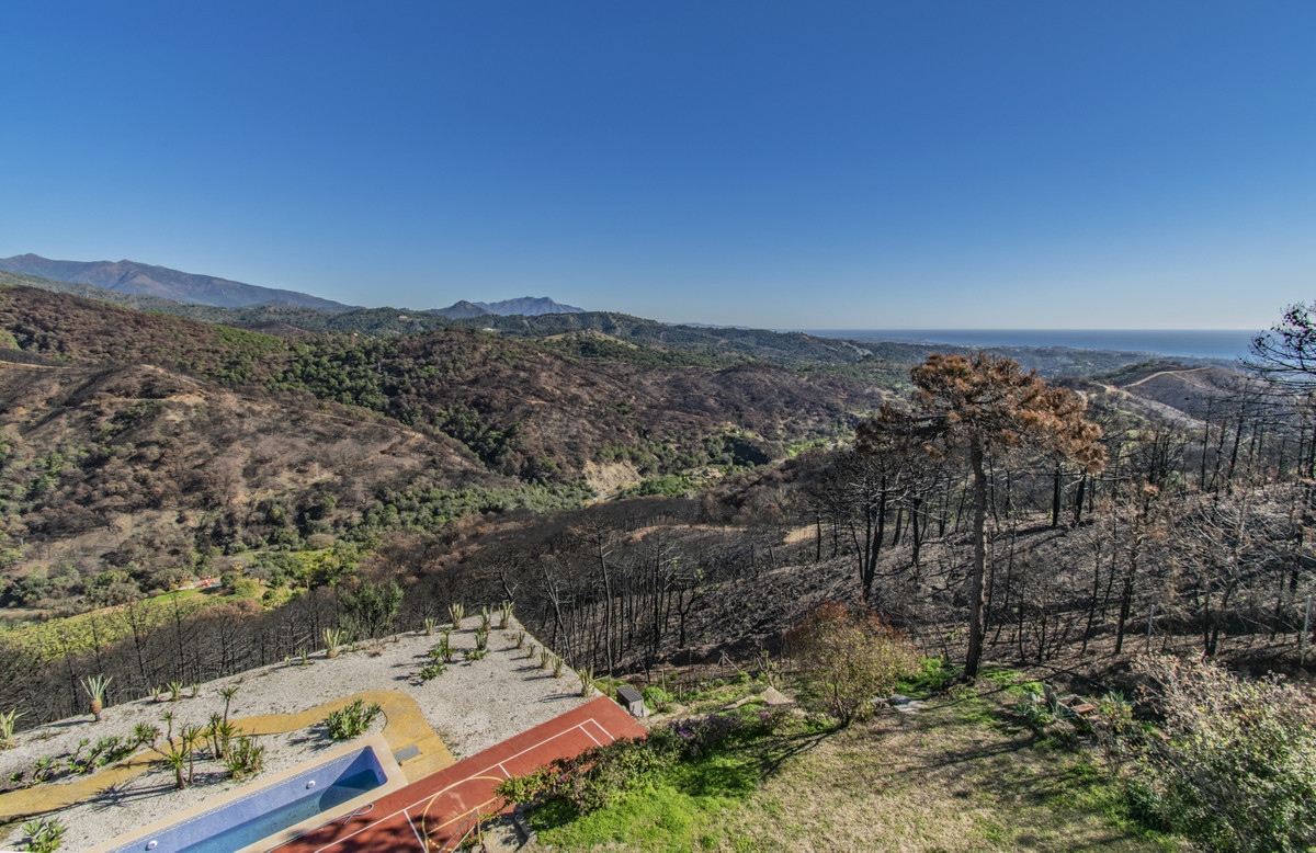 Property main view 7