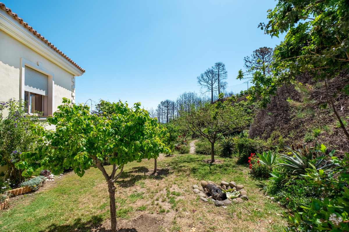 Finca - Cortijo te koop in Estepona | 7 slaapkamers H4053922