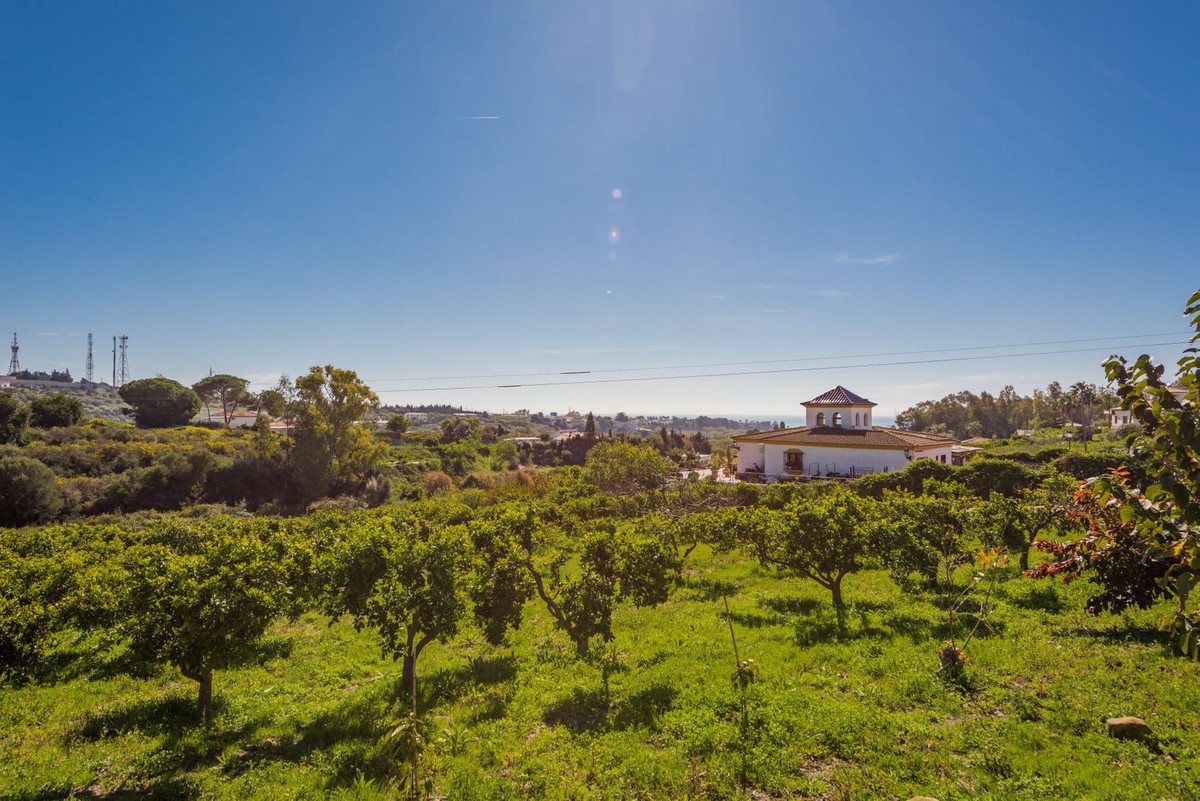 Property main view 2