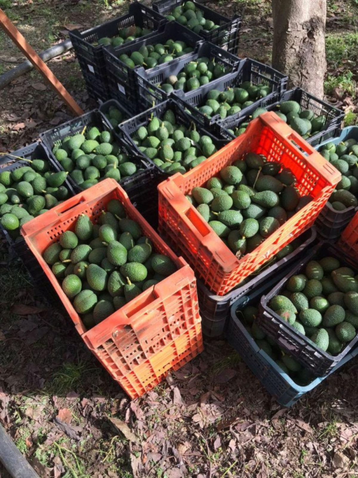 Property main view 13