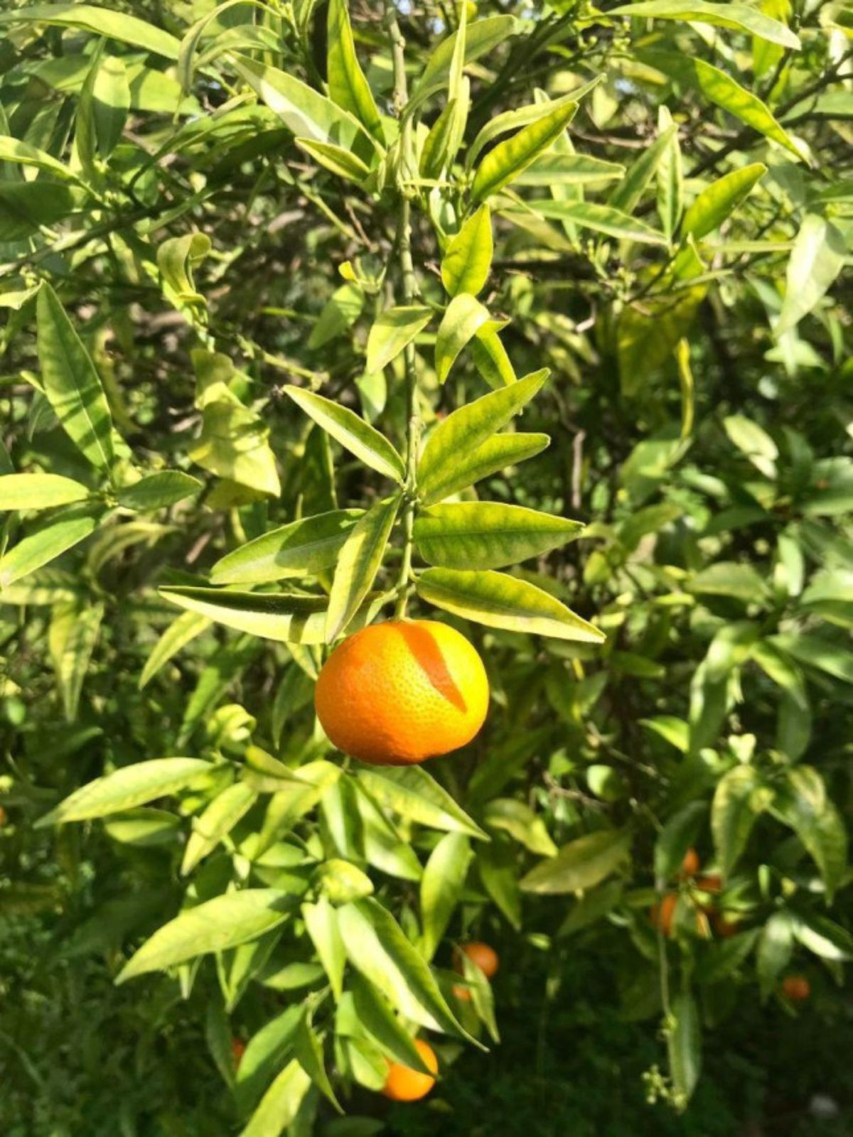 Property main view 14