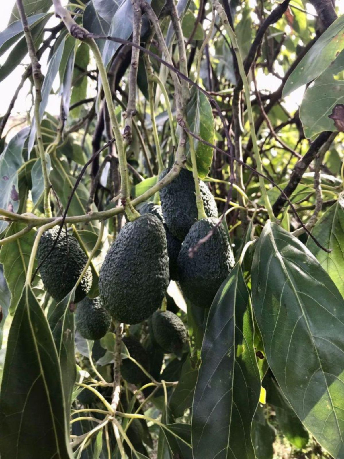 Property main view 15