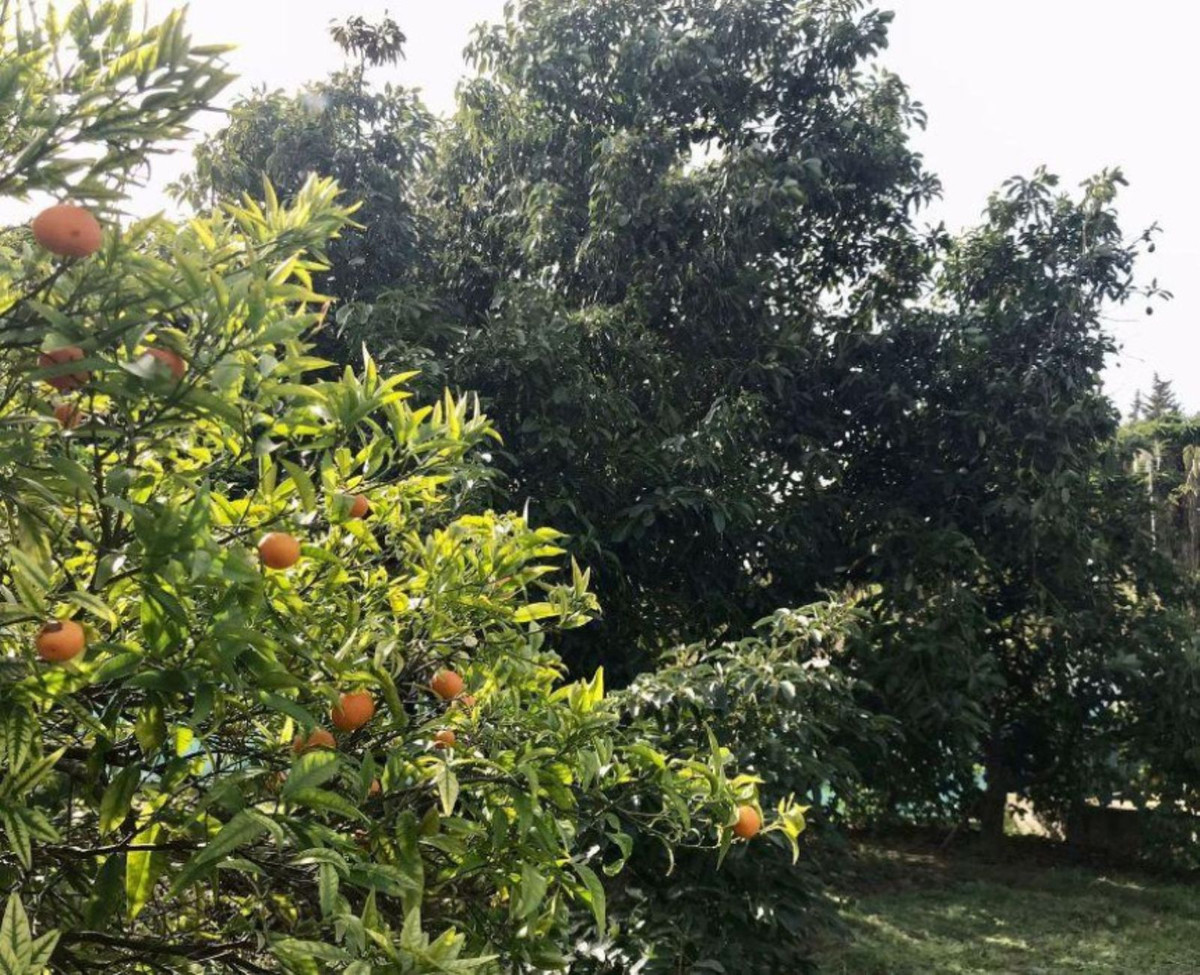 Property main view 16