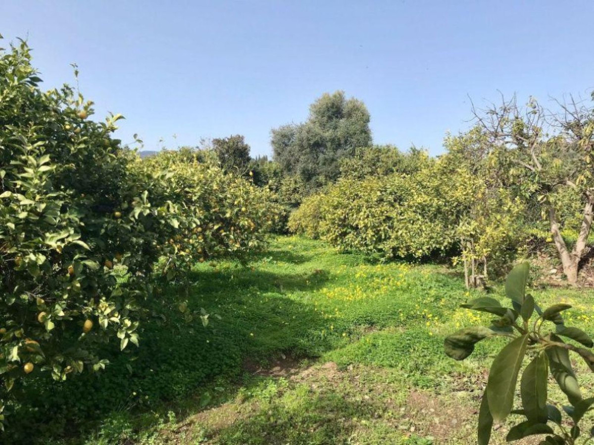 Property main view 17