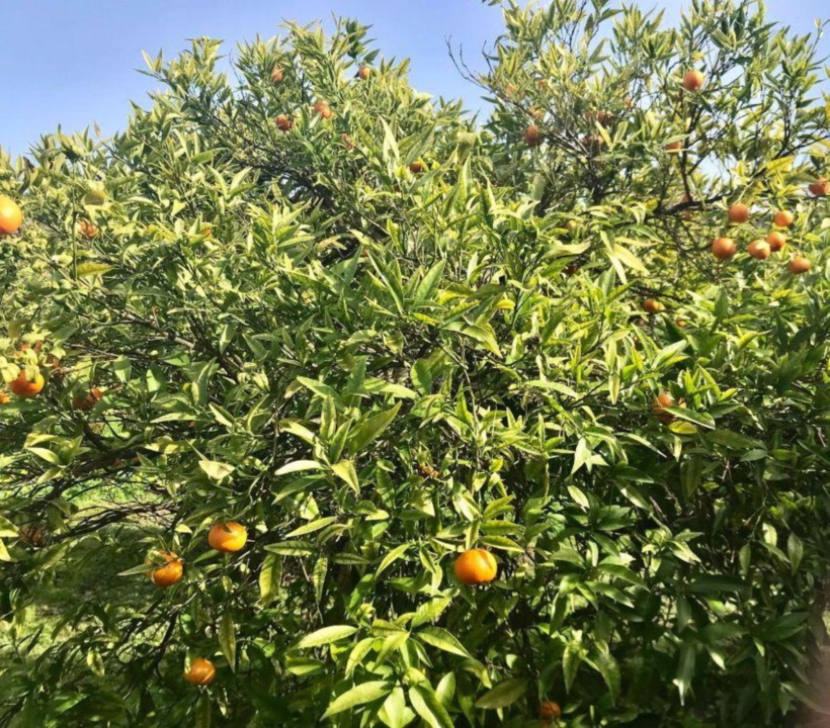 Property main view 18