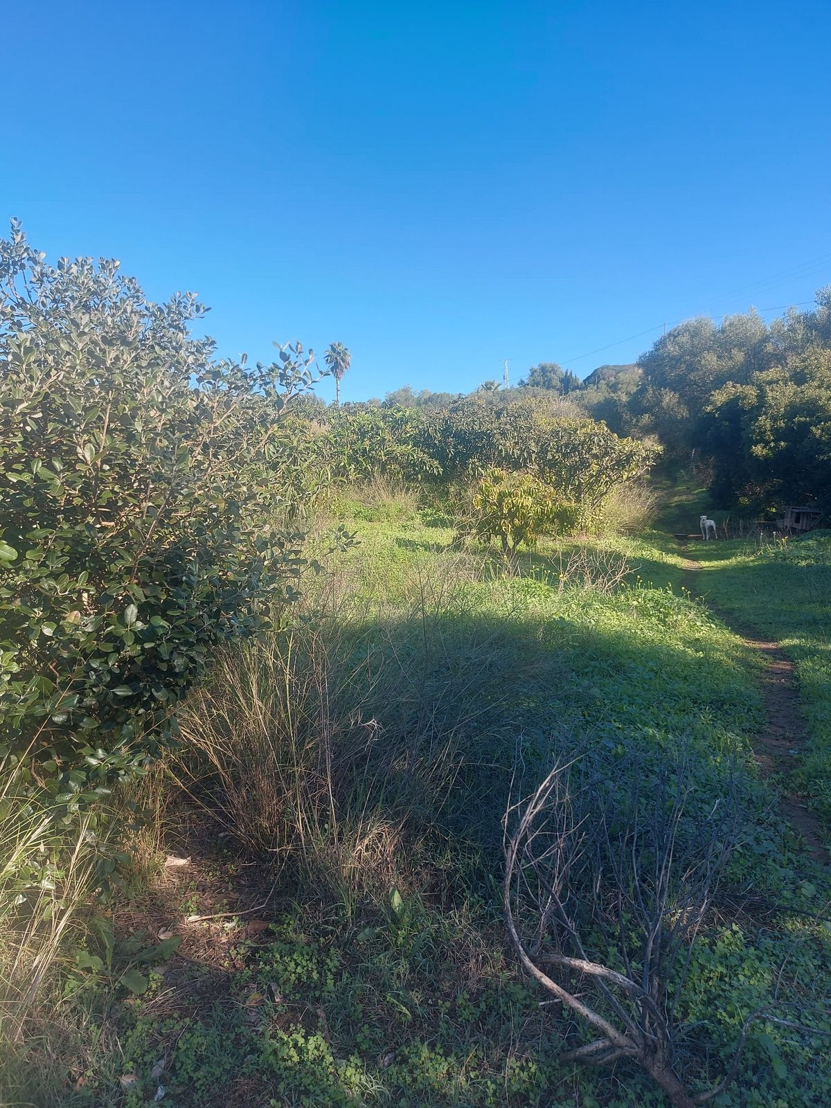 Property main view 11