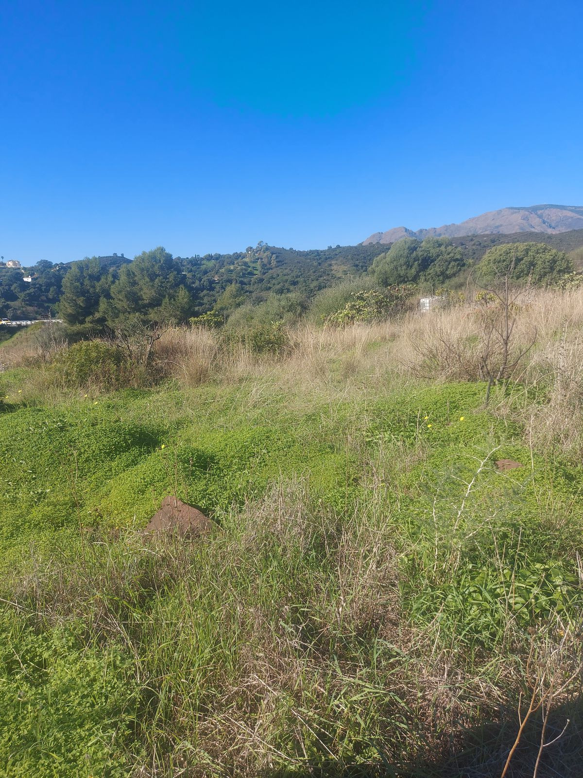 Property main view 13