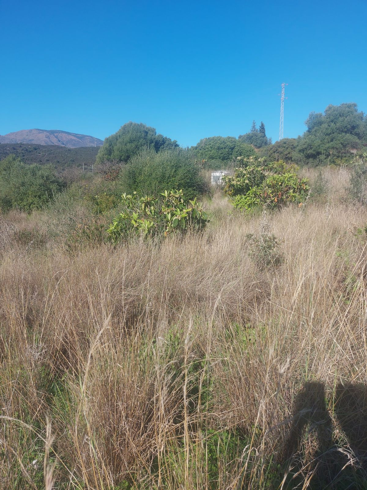 Property main view 15