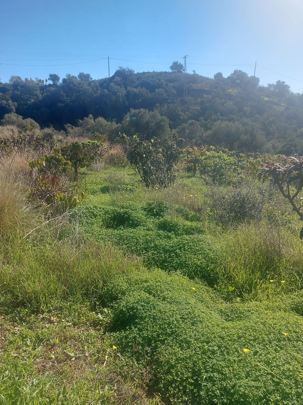 Property main view 16