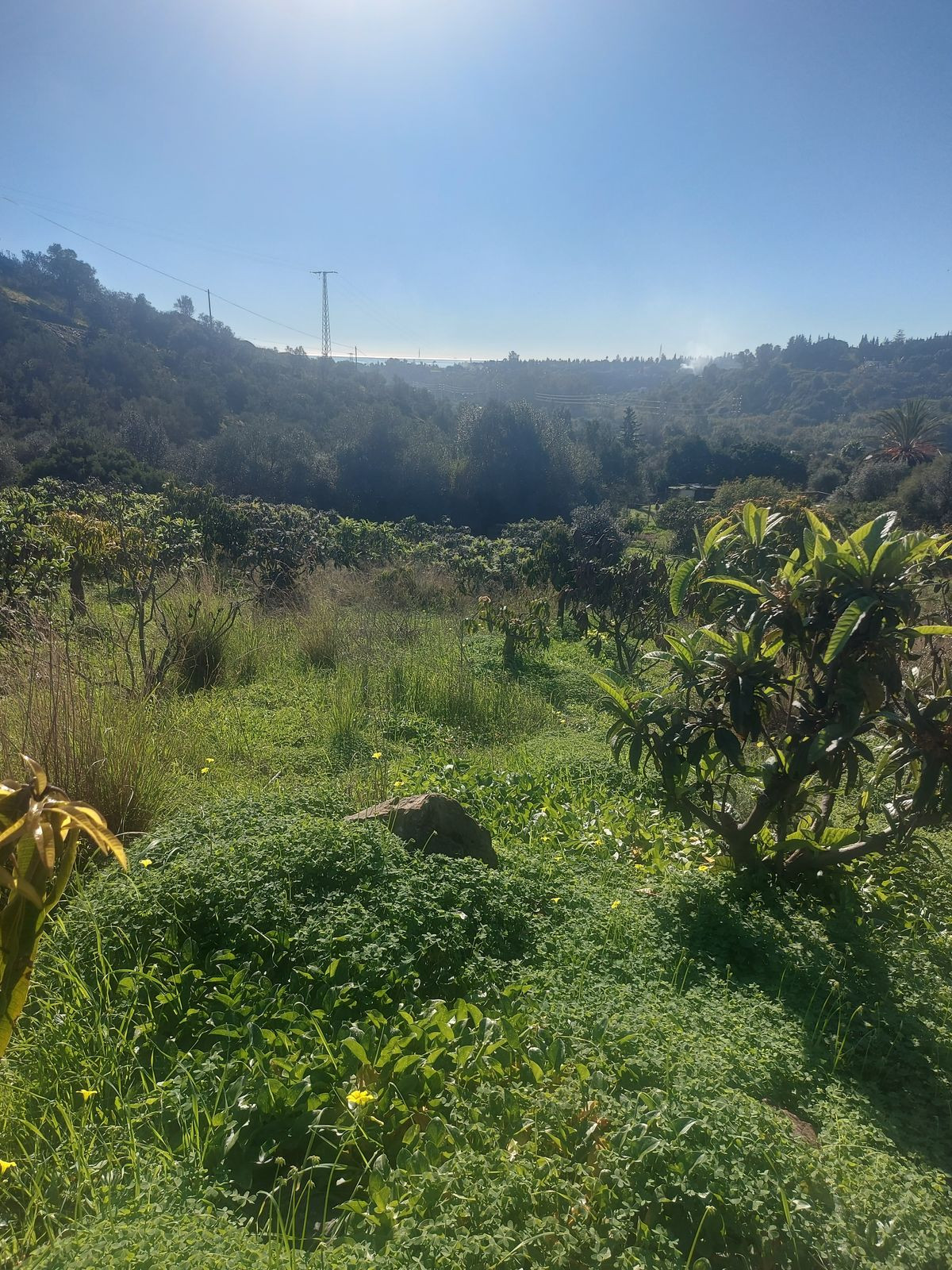 Property main view 17