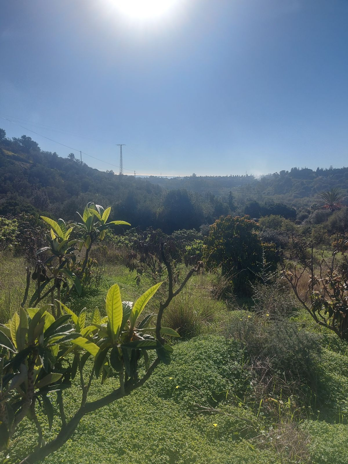 Property main view 19