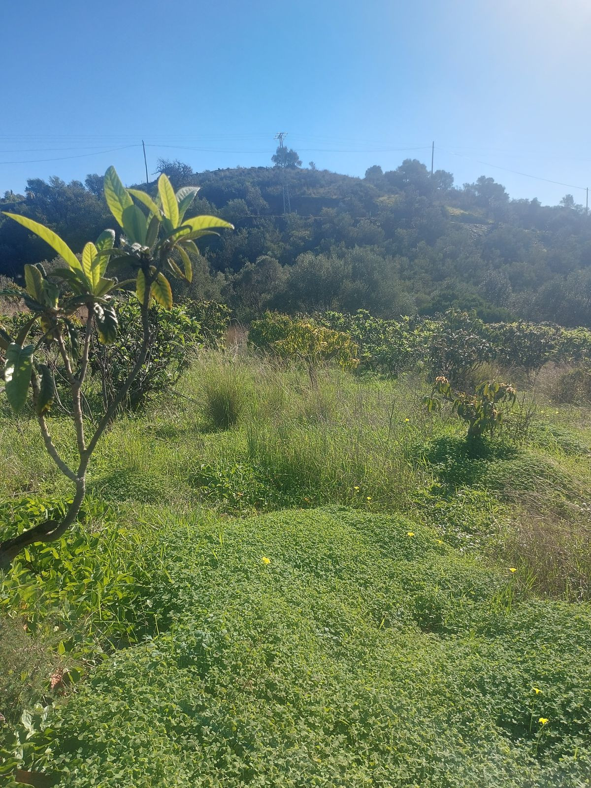 Property main view 20