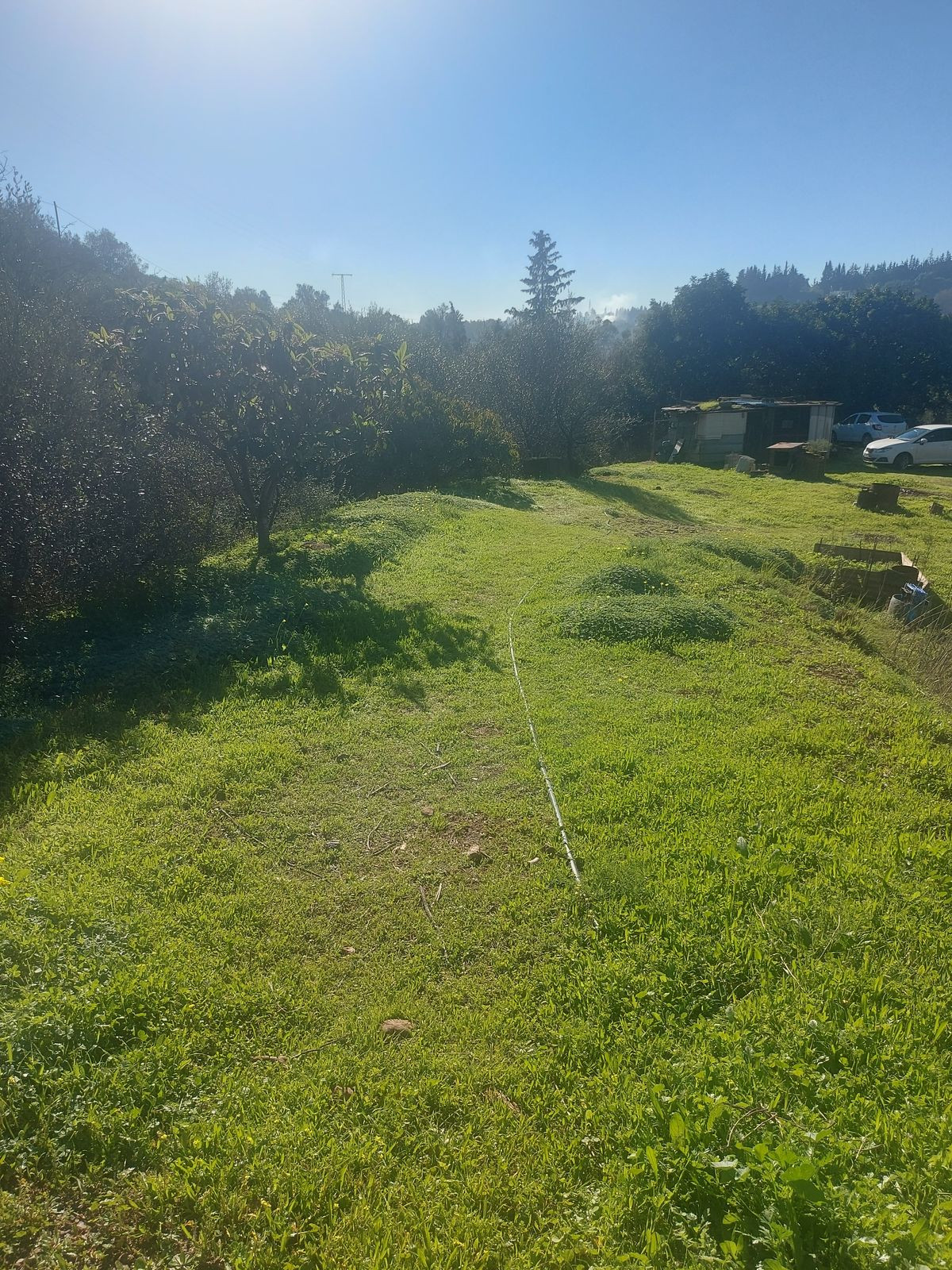 Property main view 6