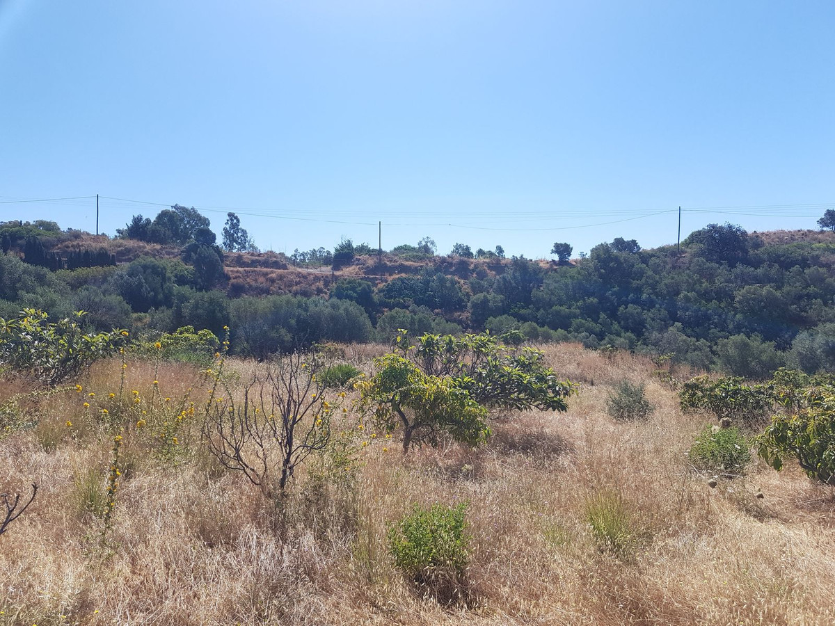Property main view 11