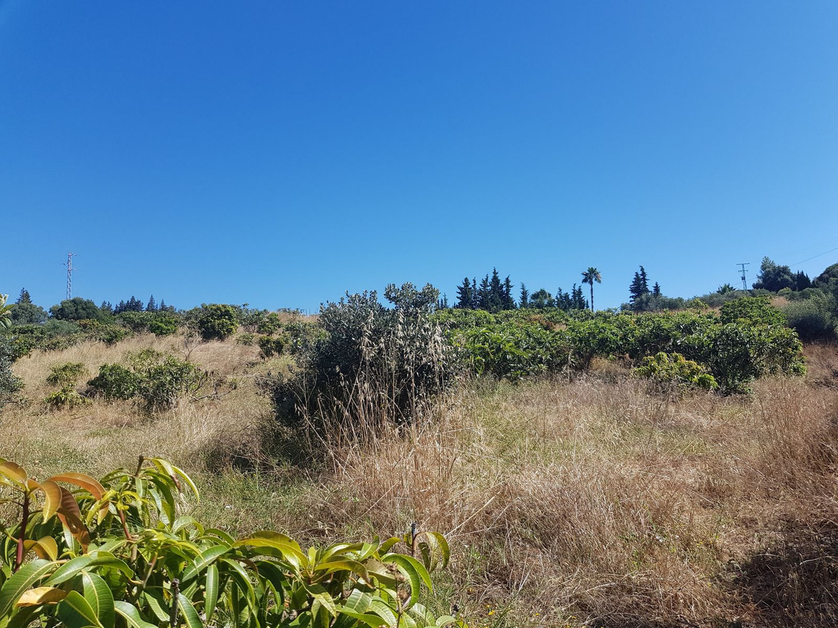 Property main view 6