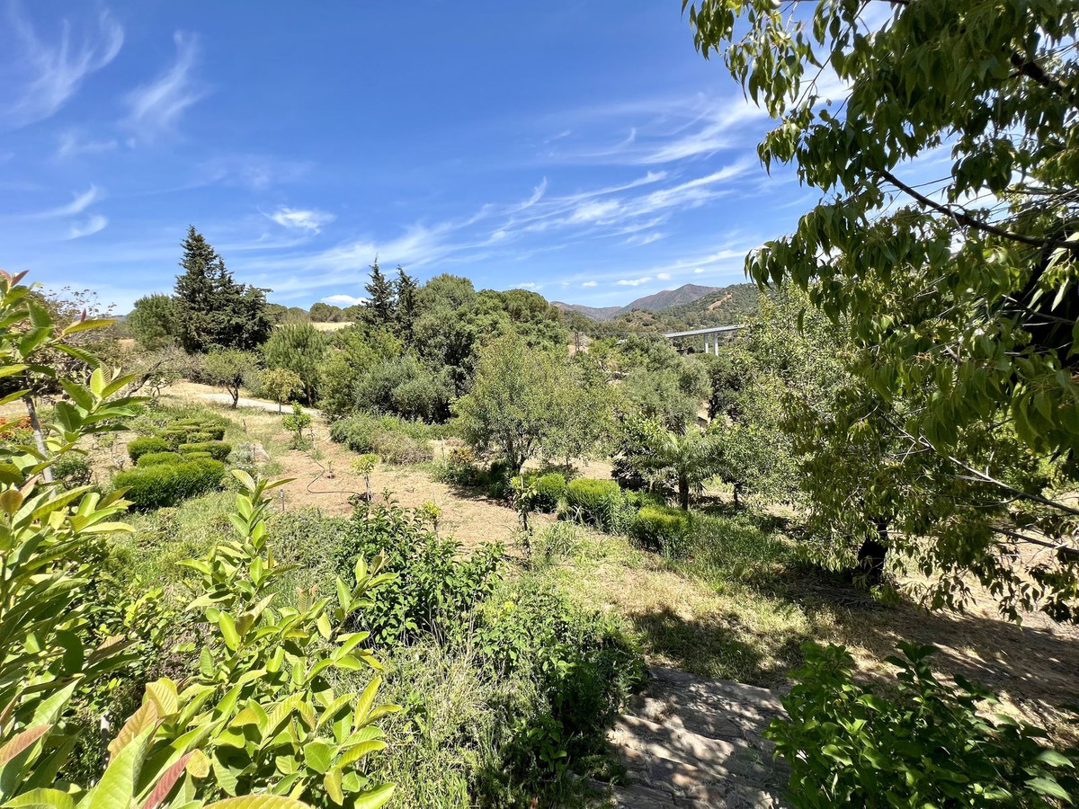 Property main view 20