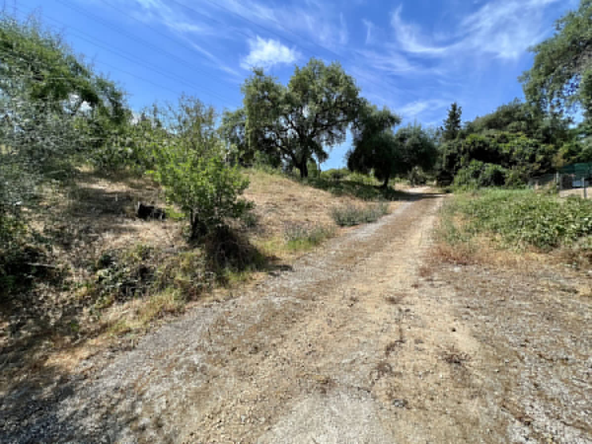 Property main view 25