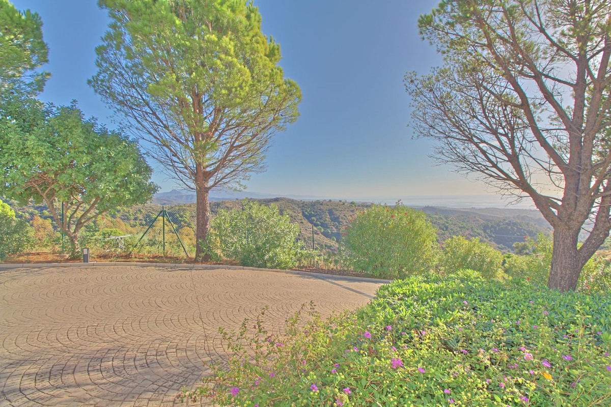 Property main view 59