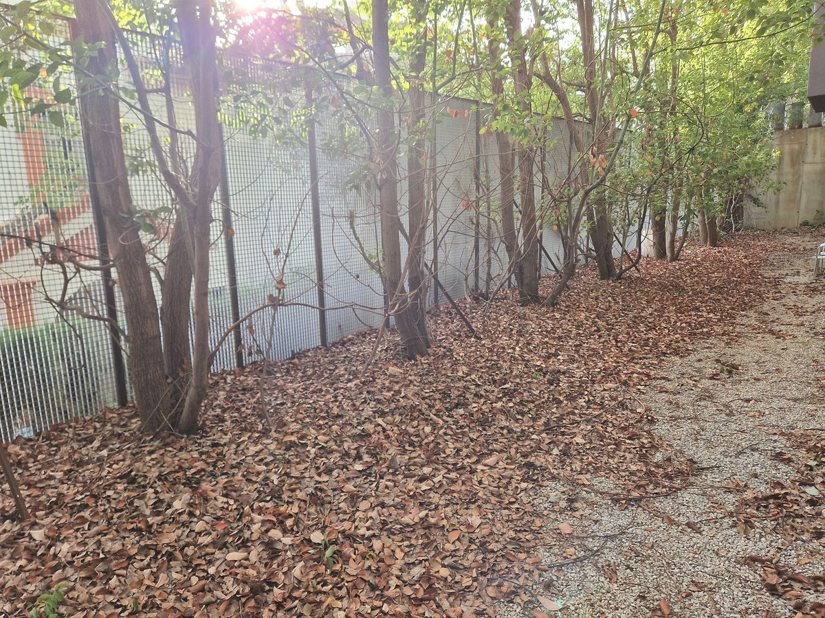 Property main view 76