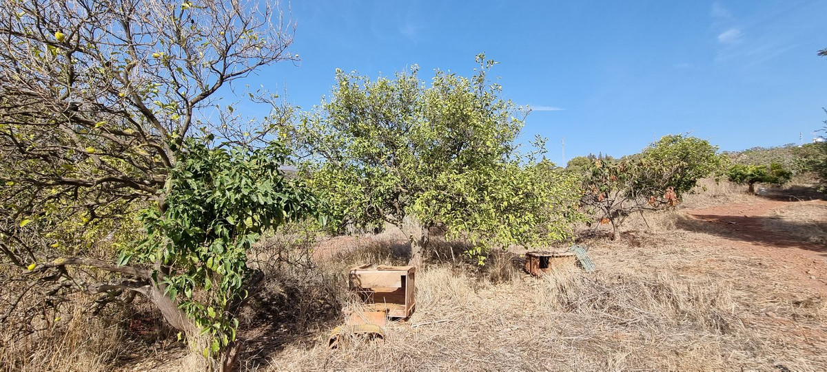 Huis te koop in Estepona | 2 slaapkamers H4587454