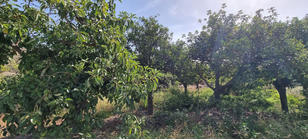Huis te koop in Estepona | 2 slaapkamers H4587454