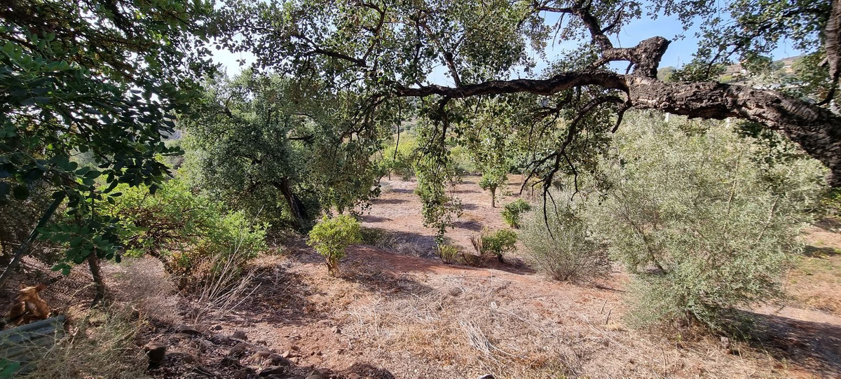 Huis te koop in Estepona | 2 slaapkamers H4587454