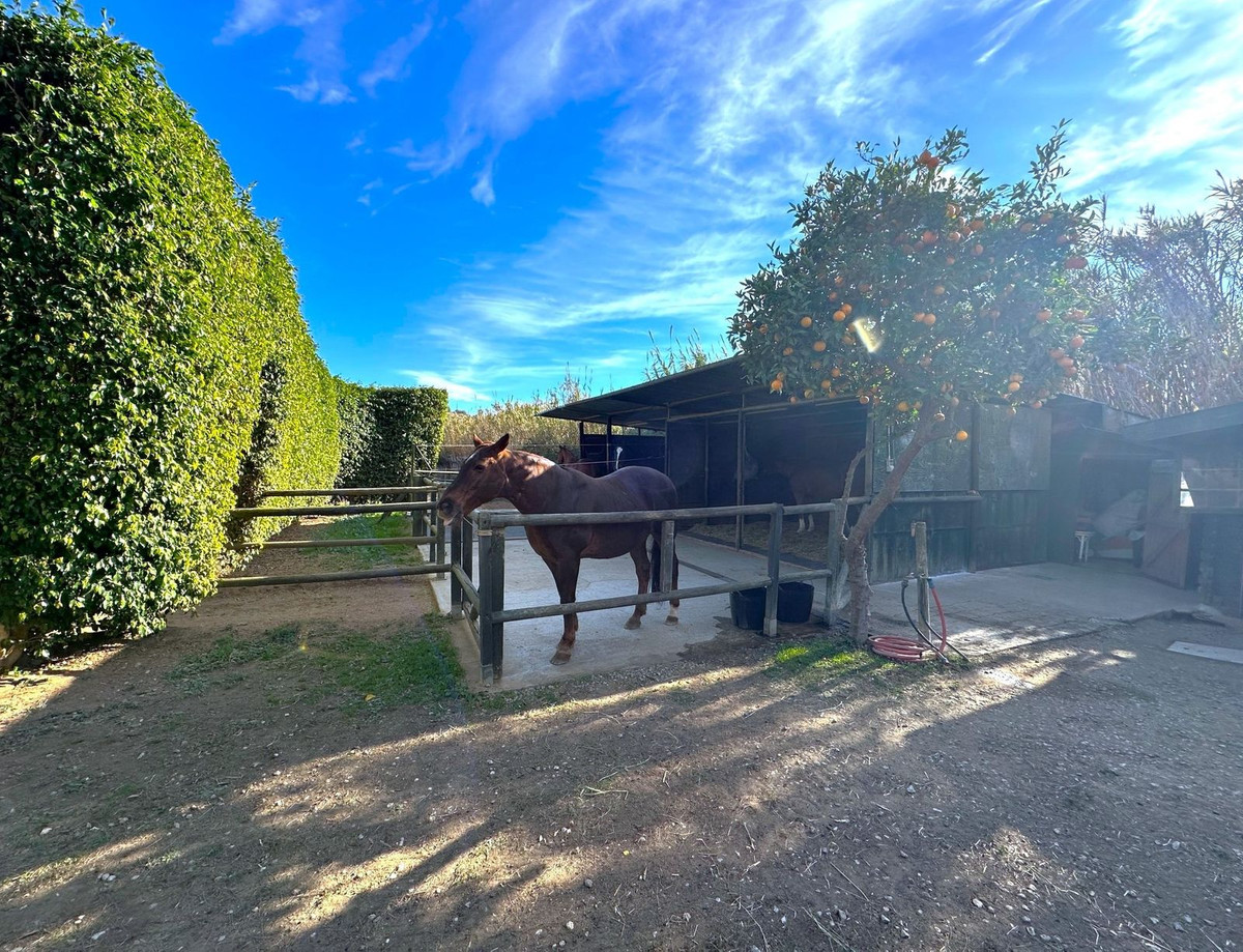 Property main view 18