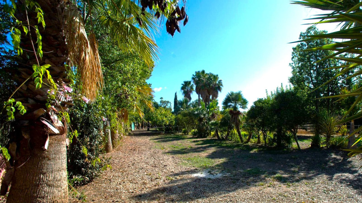 Property main view 25