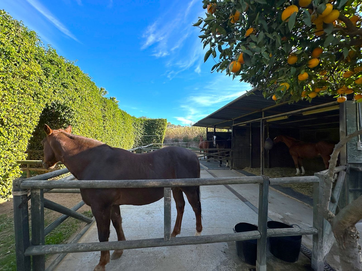 Property main view 35