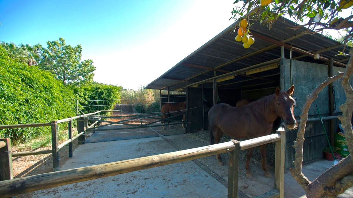 Property main view 36