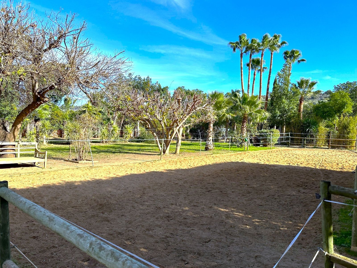 Property main view 37