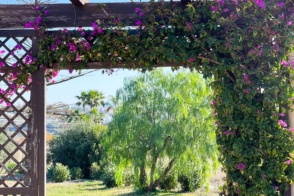 Property main view 27