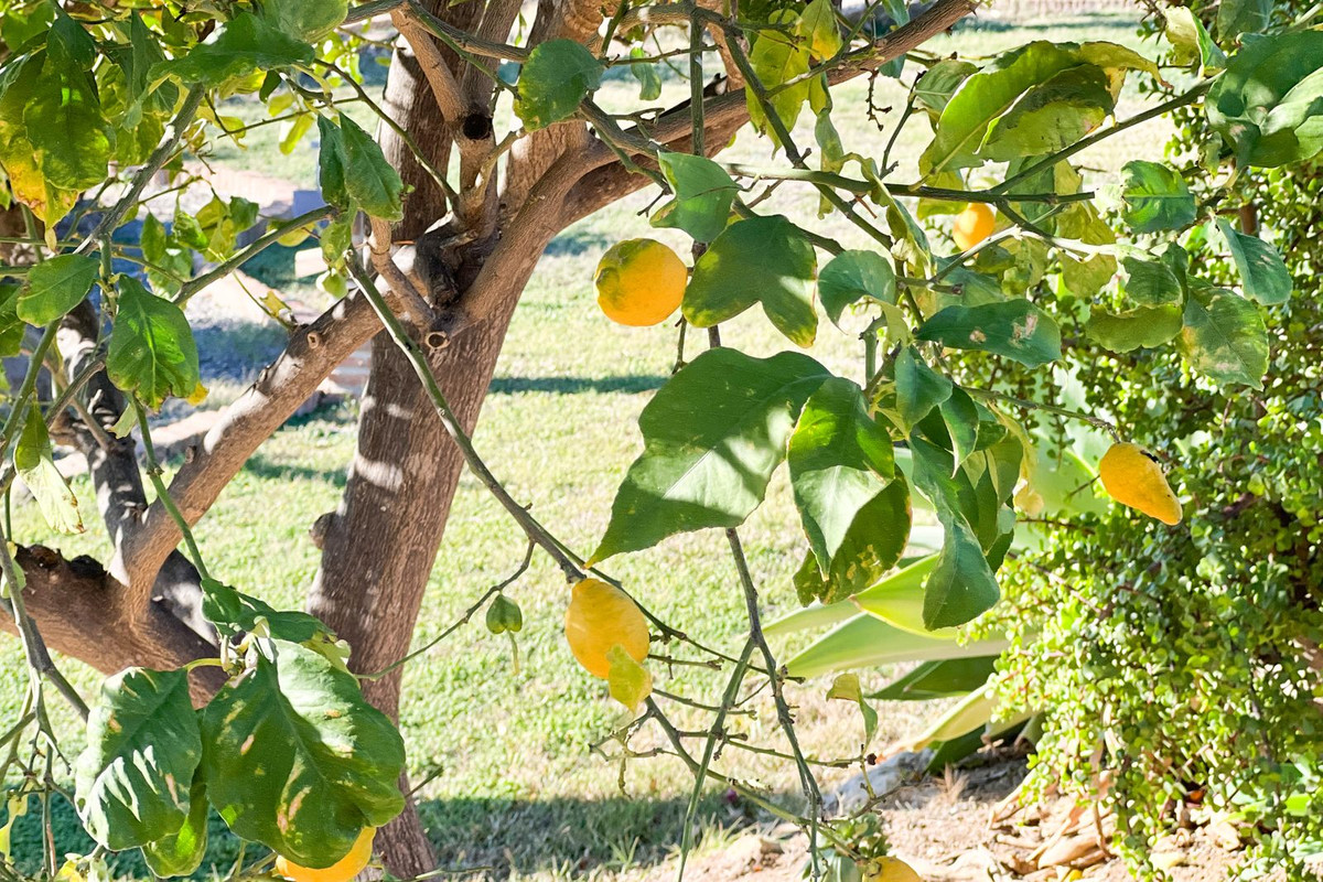 Property main view 3