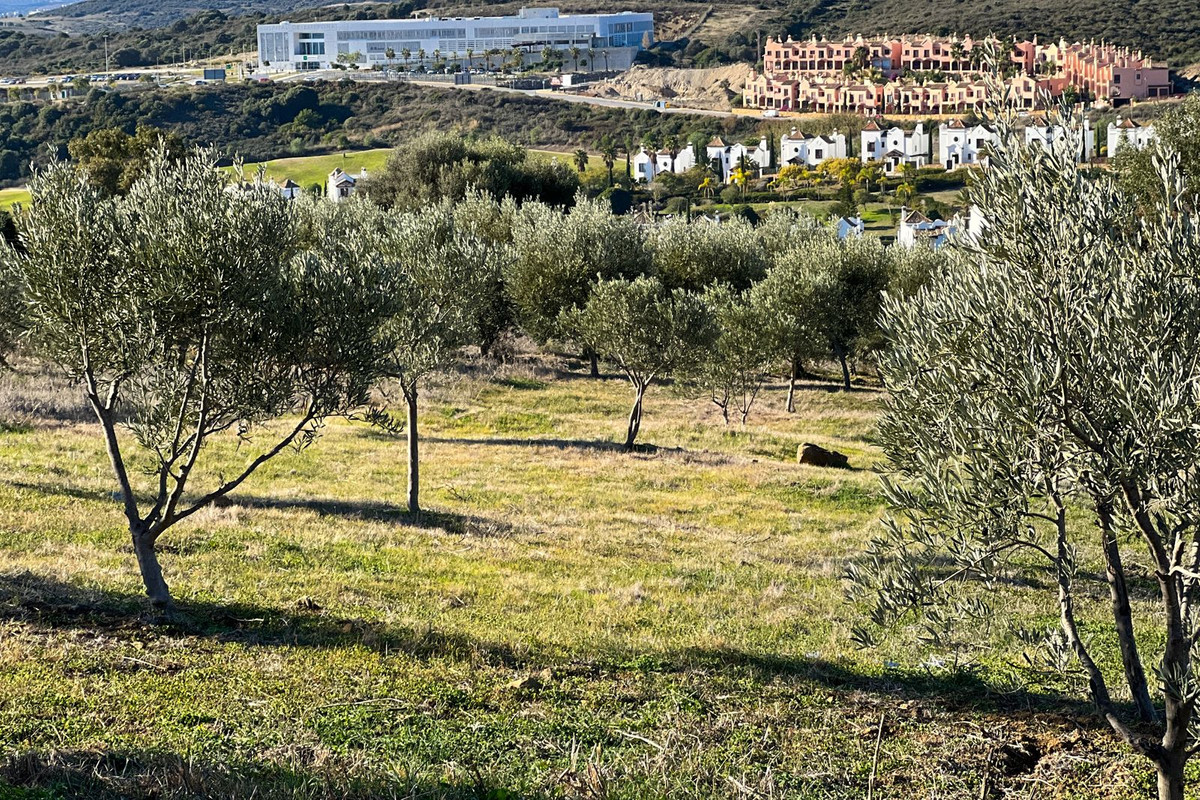 Property main view 50