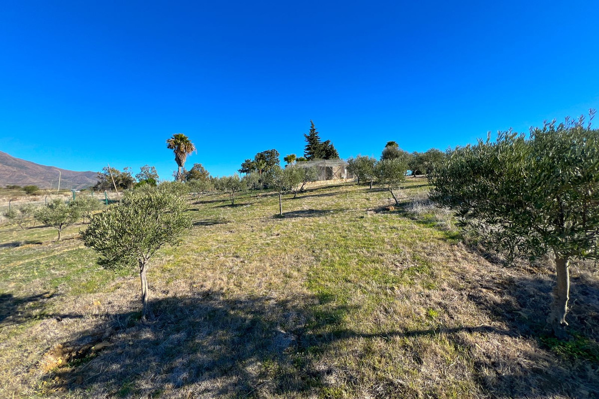 Property main view 51