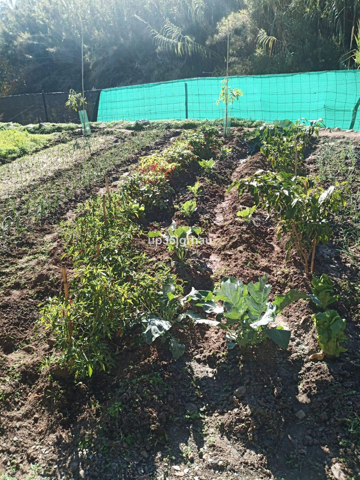 Property main view 40