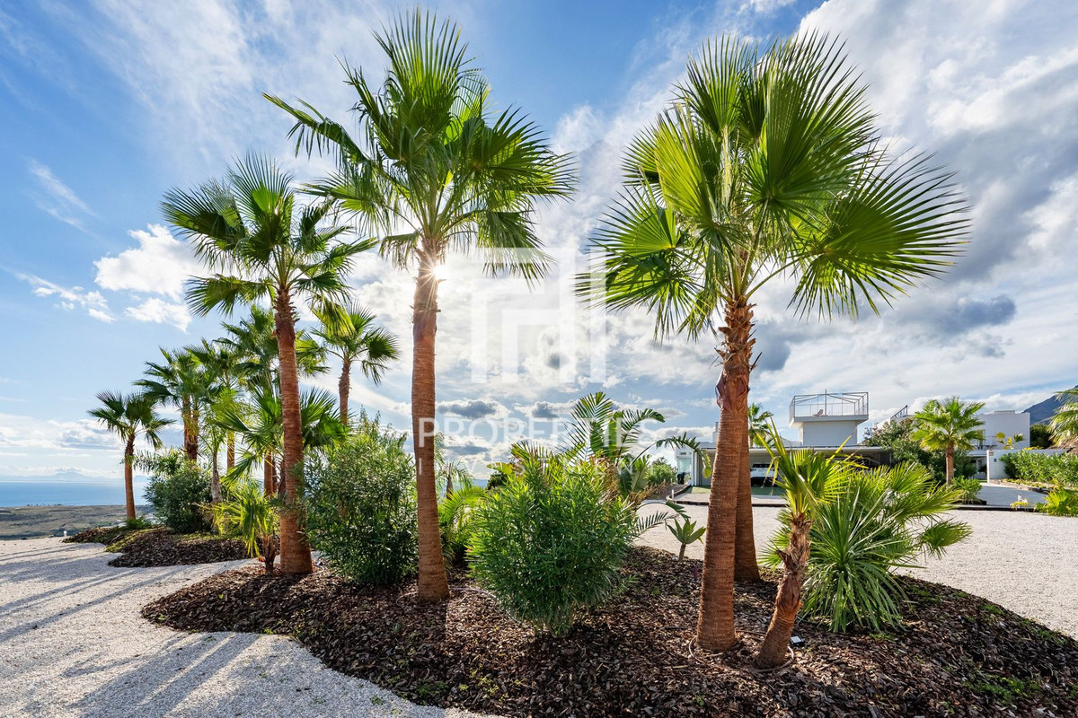 Property main view 49