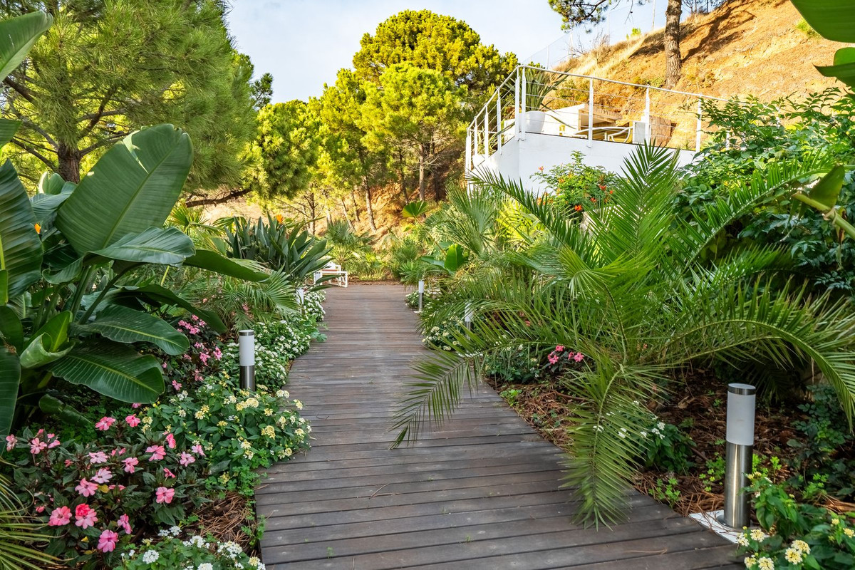 Property main view 51