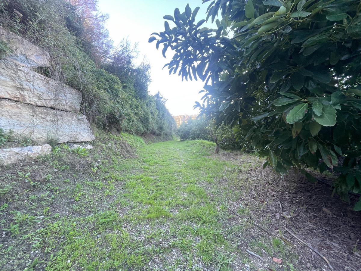 Property main view 13