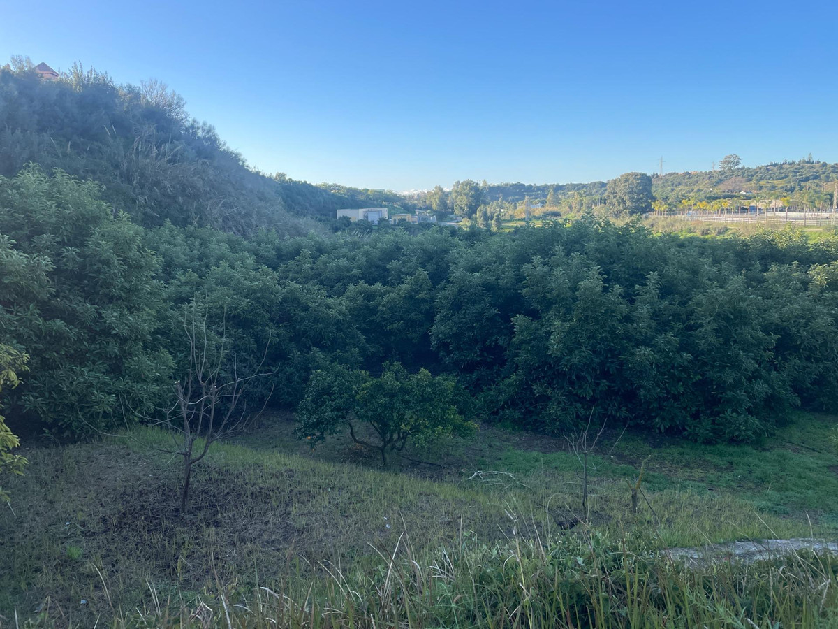 Property main view 15