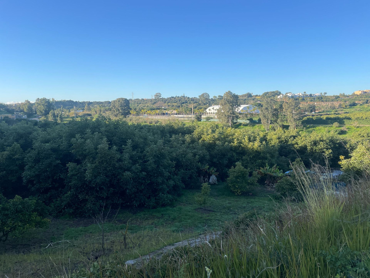 Property main view 16