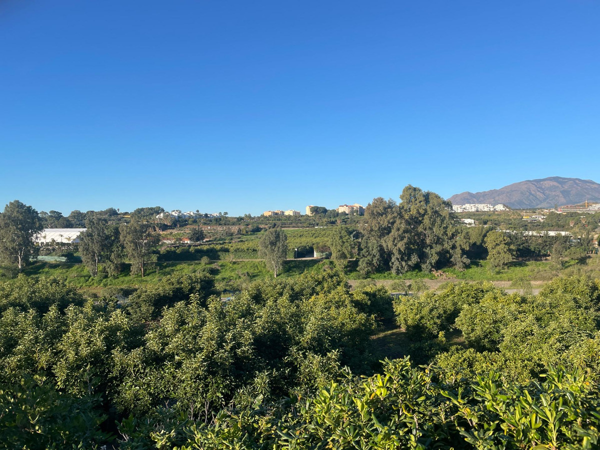 Property main view 18