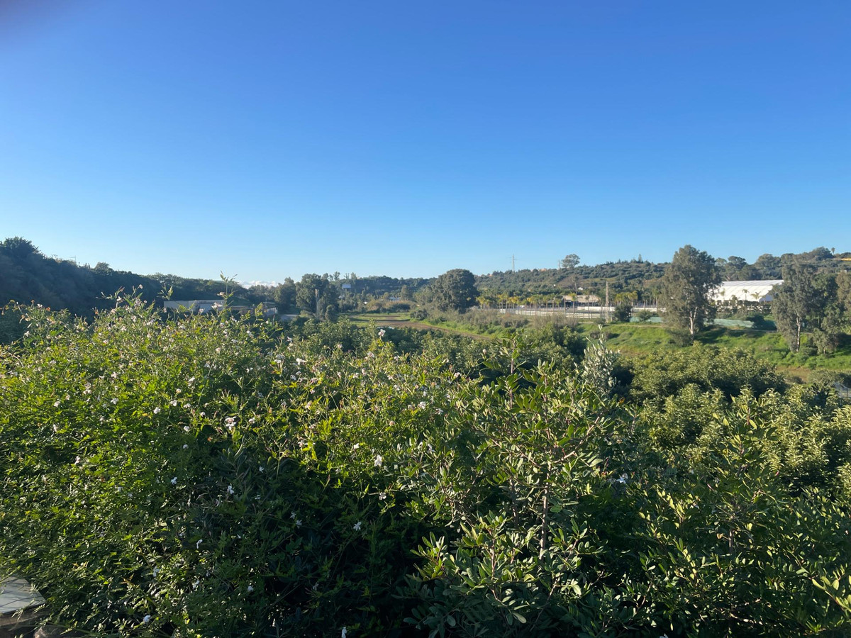 Property main view 19